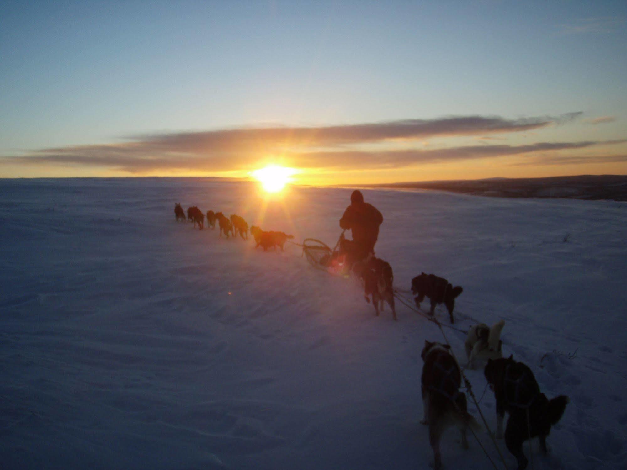 Engholm Husky Design Lodge Карашьок Екстериор снимка